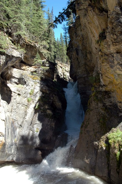 Johnston Creek